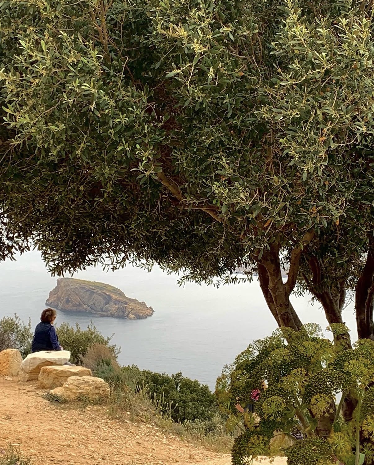 Ιτς τζαστ ε λιτλ κρας
